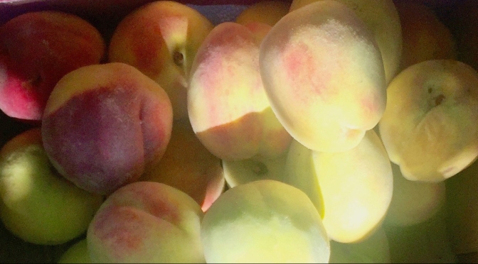 Peach Season